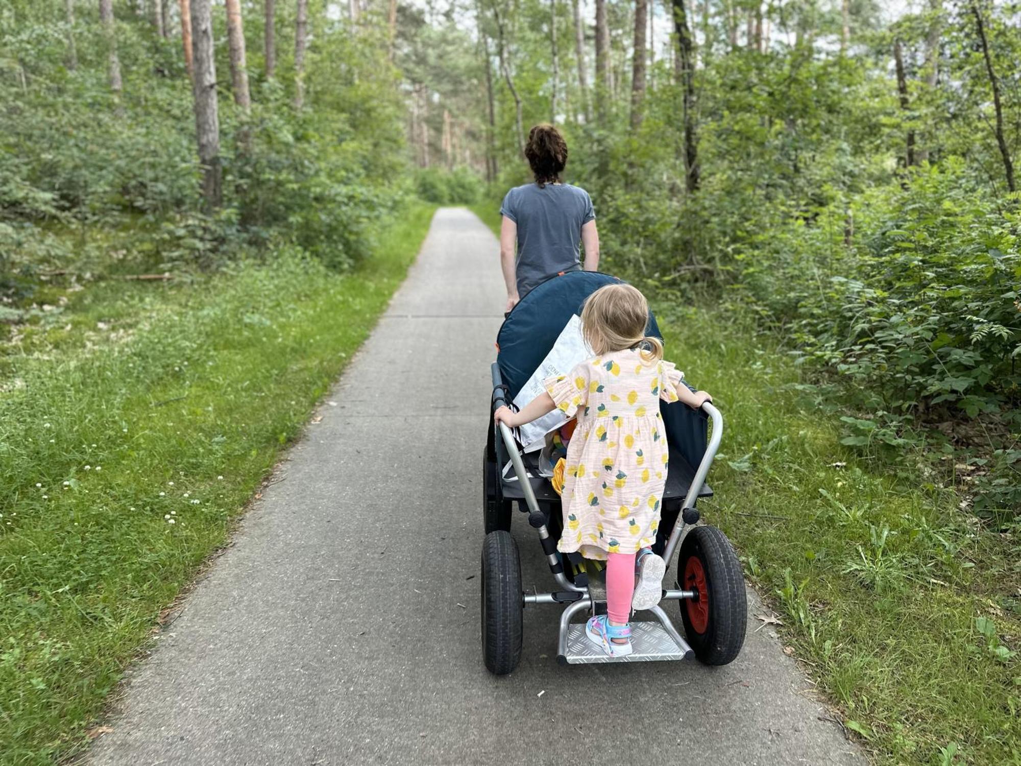 Vakantiehuis Vliegend Hert Veluwe Nunspeet Exterior foto