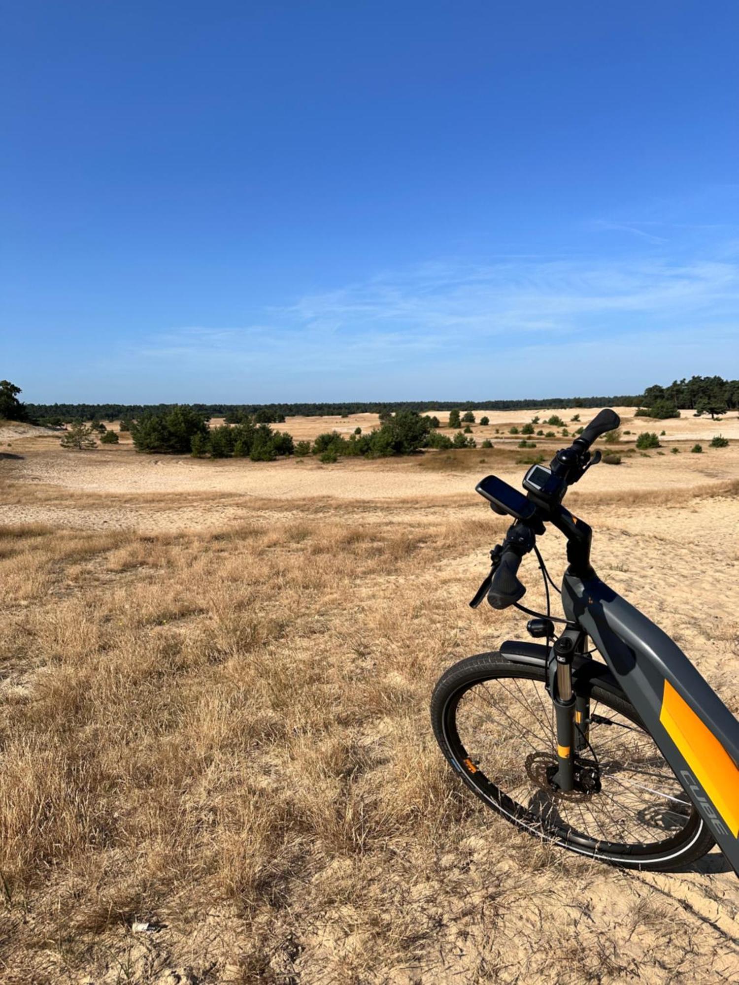 Vakantiehuis Vliegend Hert Veluwe Nunspeet Exterior foto